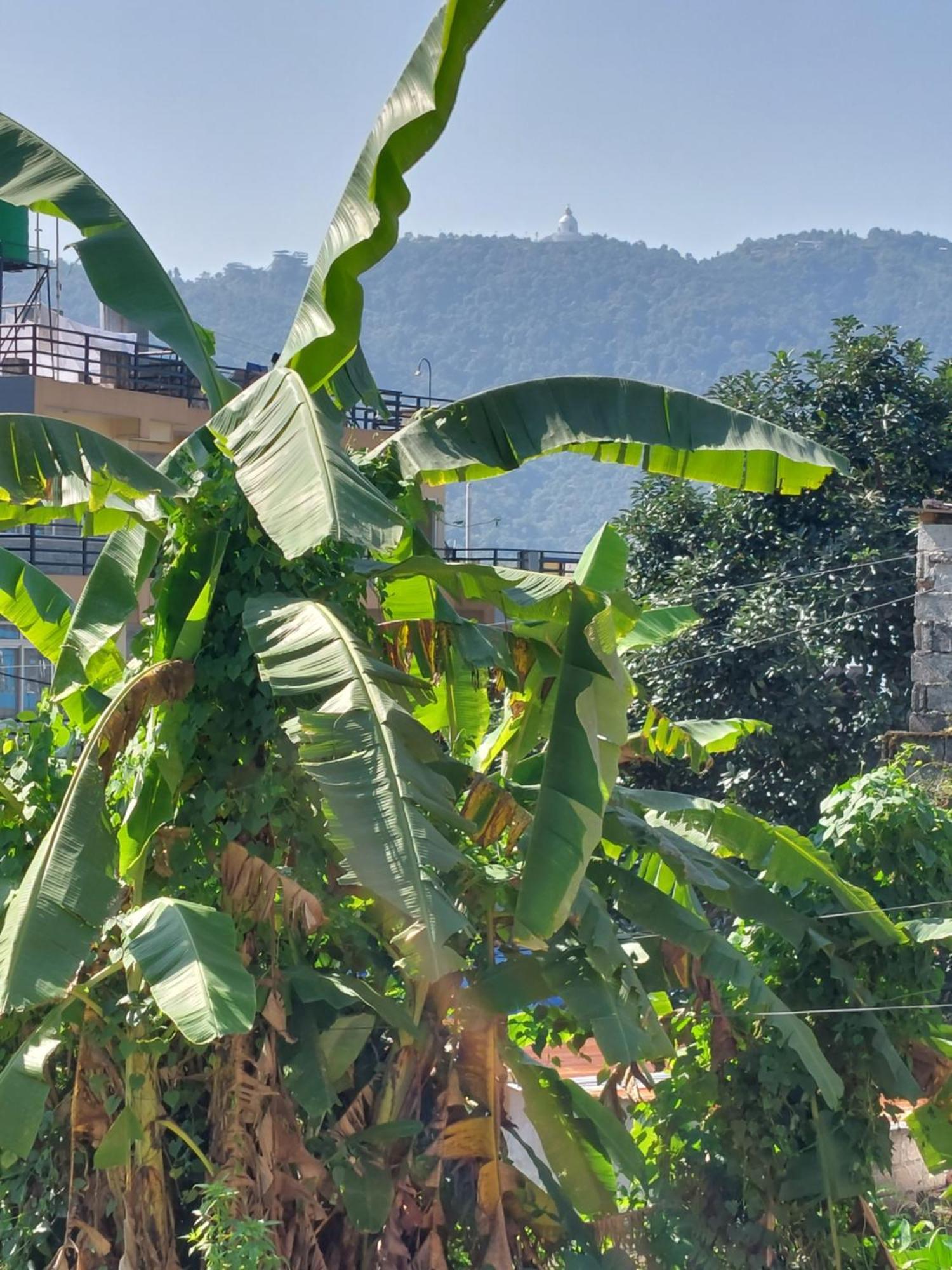 Paramount Guest House Pokhara Zewnętrze zdjęcie